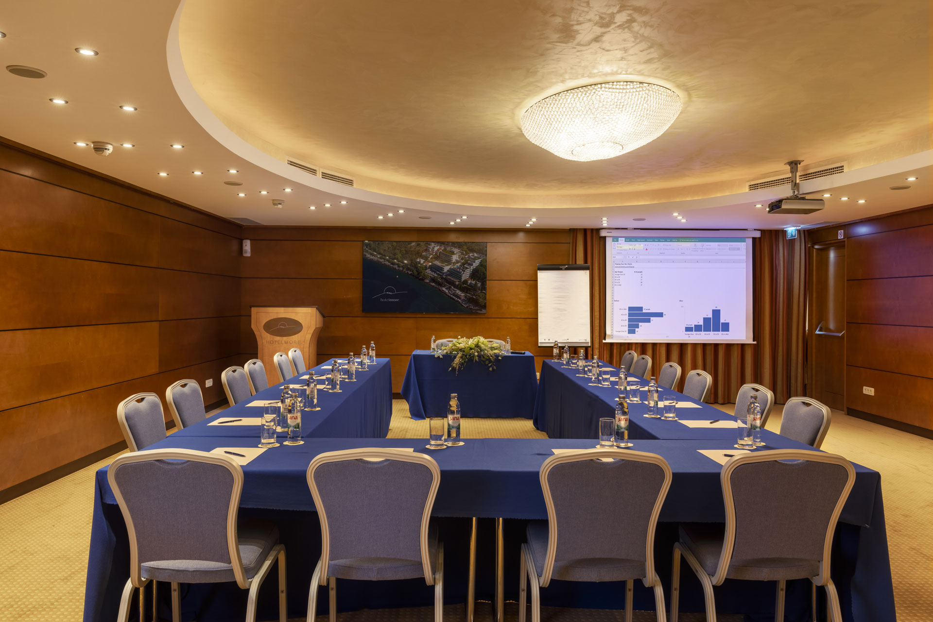 Meetings and Conferences