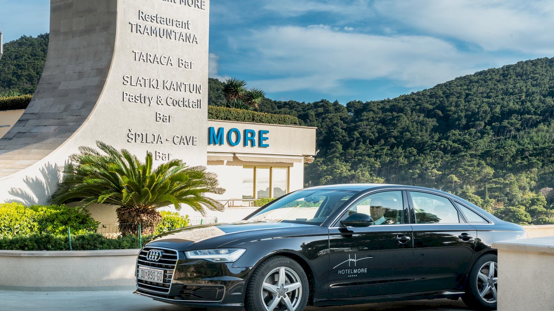 Limousine Service